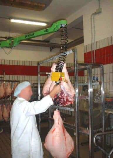Salumi INDEVA Liftronic è la soluzione ideale per la movimentazione di salumi, rilevando e bilanciando automaticamente il peso, senza alcuna pre-impostazione del carico.
