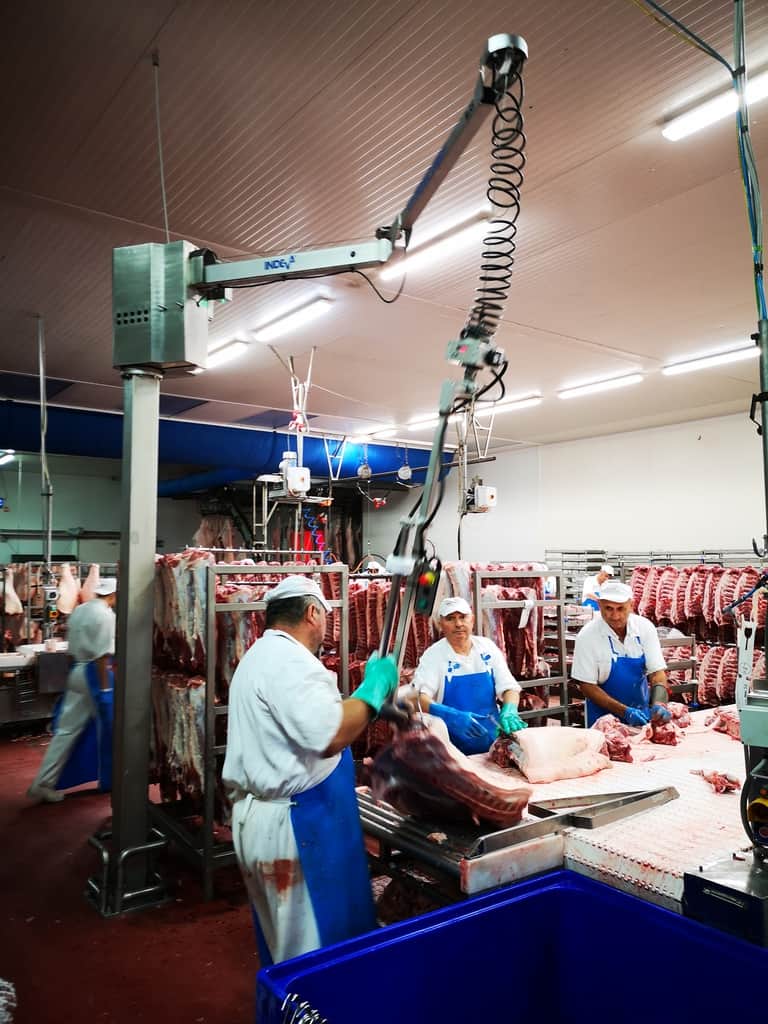 Handling meat with an intelligent device for handling INDEVA