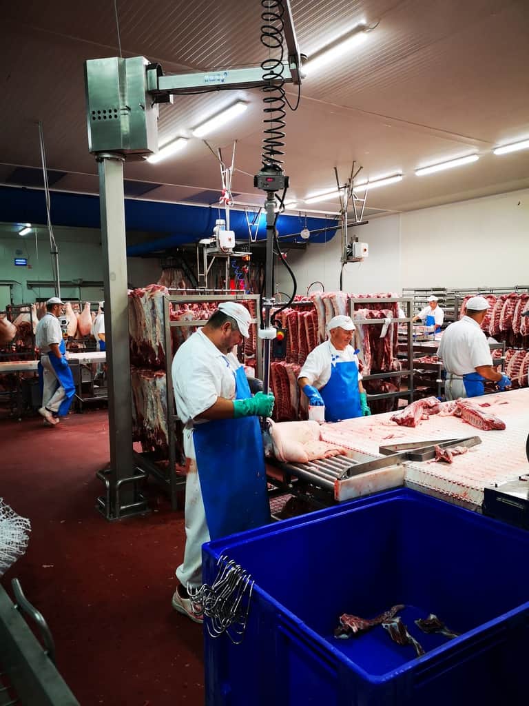 Handling meat with an intelligent device for handling INDEVA