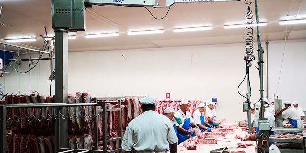 nor_vivid Handling meat with an intelligent device for handling INDEVA